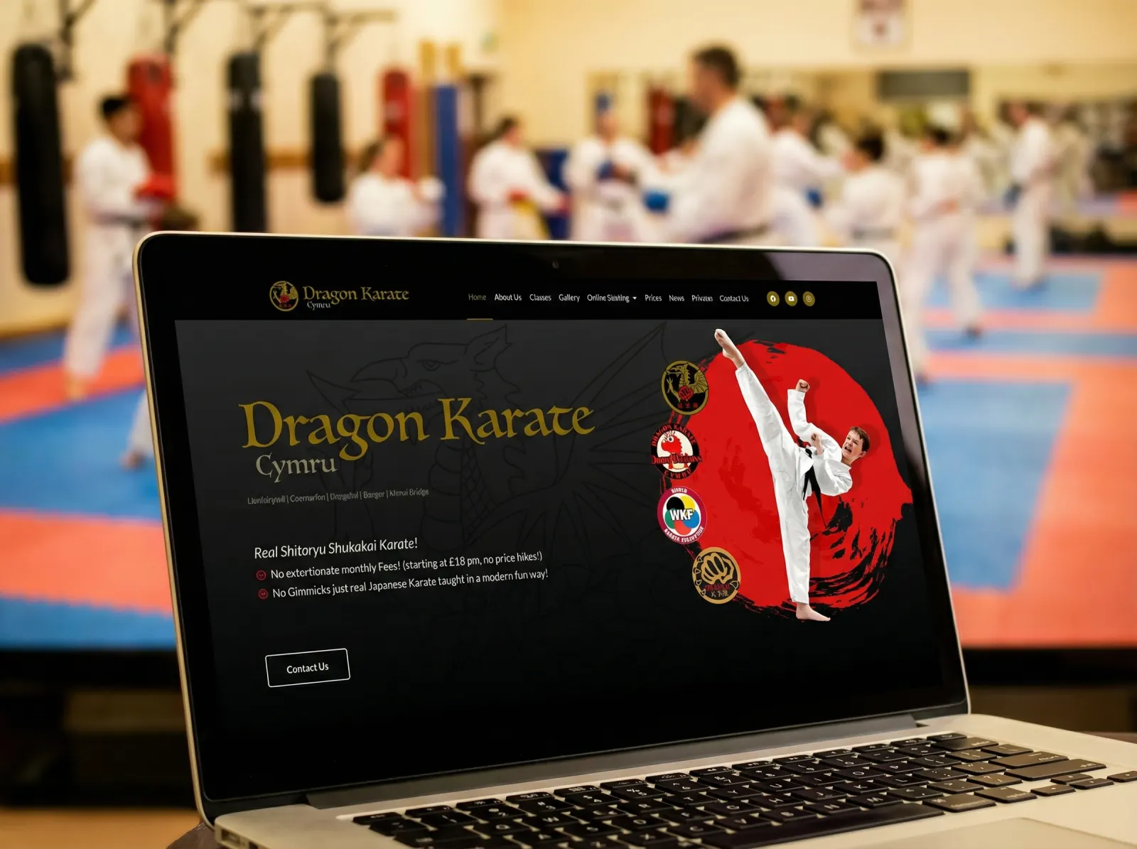 Dragon Karate Cymru — Web Design, Development